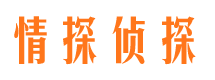 黄埔市调查公司